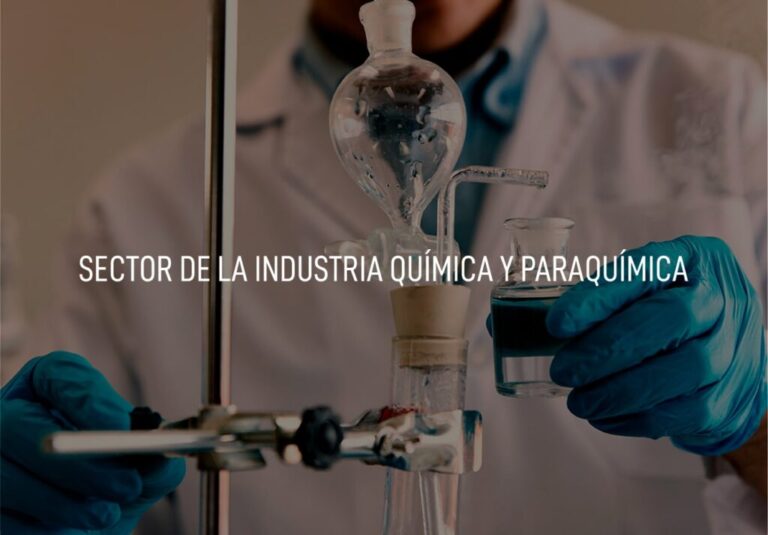 02-Sectores-Sector-de-la-Industria-Quimica-y-Paraquimica-min-1024x713-1