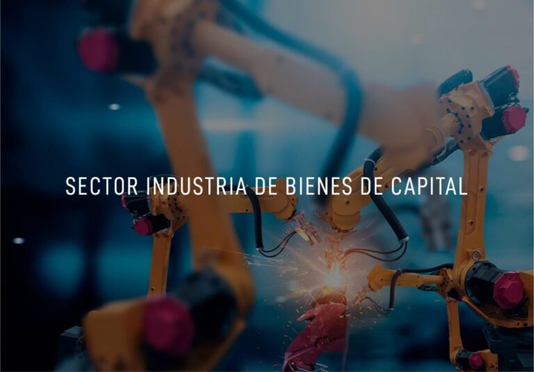 03-Sectores-Sector-industria-de-Bienes-de-Capital-min-1-1024x713