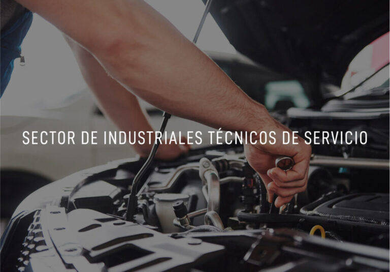 06-Sectores-Sector-de-Industriales-Tecnicos-de-Servicio-1024x713-1