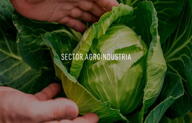 14-Sectores-Agroindustrial-min02-1-1024x656